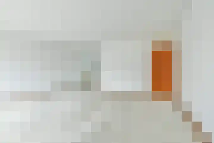 Stuurboord 74 Rijsenhout thumbnail 6