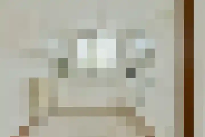 Stuurboord 74 Rijsenhout thumbnail 9