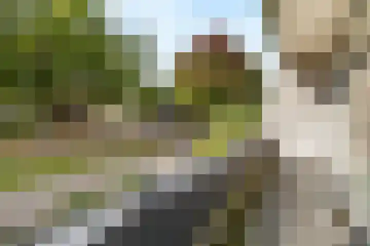 Stuurboord 75 Huizen thumbnail 10