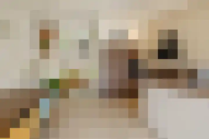 Stuurboord 75 Huizen thumbnail 12