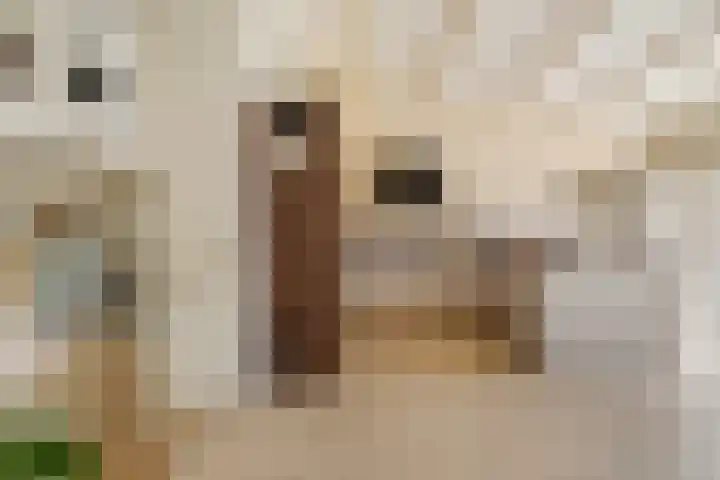 Stuurboord 75 Huizen thumbnail 14