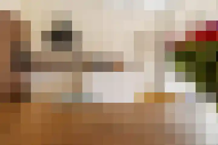 Stuurboord 75 Huizen thumbnail 18