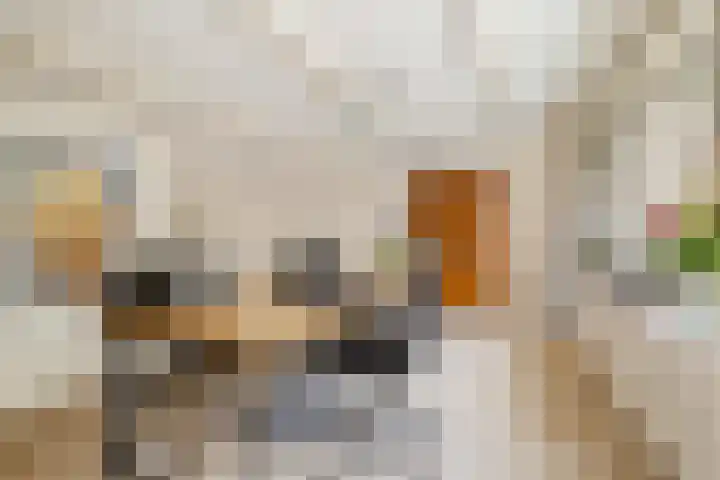 Stuurboord 75 Huizen thumbnail 9