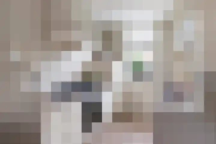 Stuurboordlaan 14 Woerden thumbnail 10