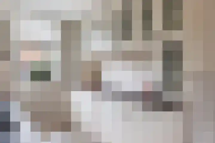 Stuurboordlaan 14 Woerden thumbnail 11