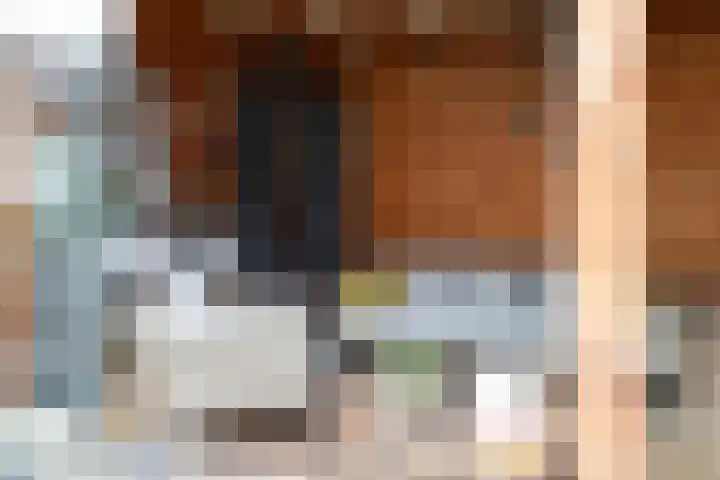 Stuurboordlaan 14 Woerden thumbnail 30