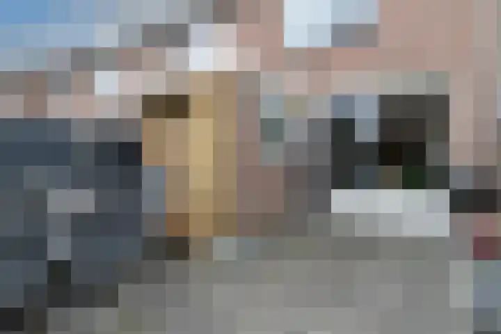 Stuurboordlaan 14 Woerden thumbnail 31