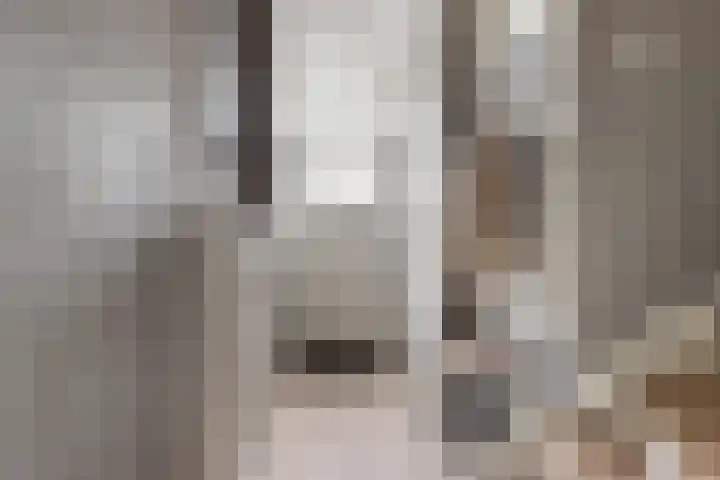 Stuurboordlaan 14 Woerden thumbnail 5