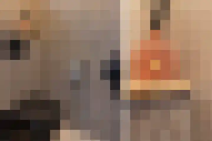 Stuurboordlaan 14 Woerden thumbnail 6