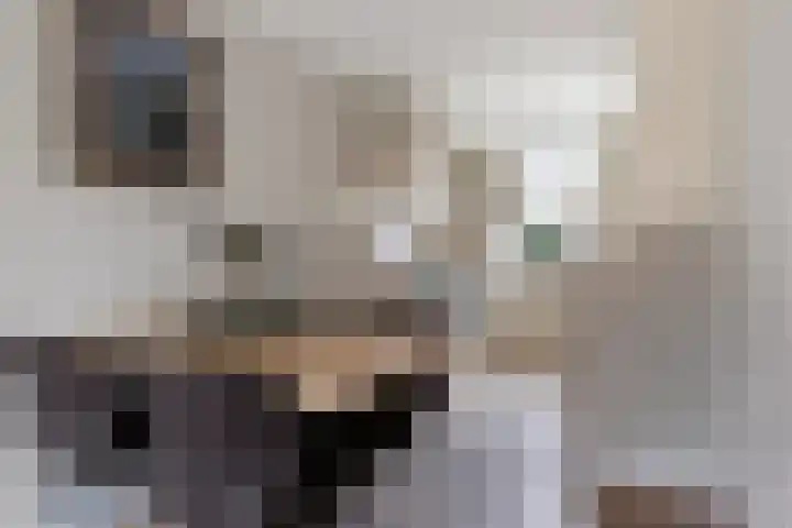 Stuurboordlaan 14 Woerden thumbnail 9