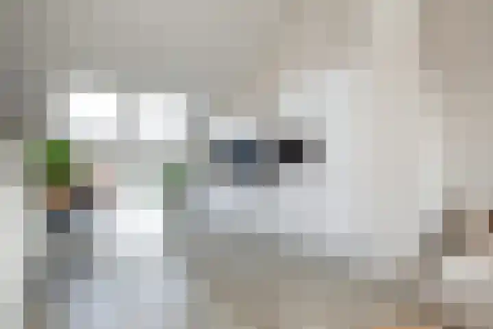 Stuurboordstraat 16 Kudelstaart thumbnail 16