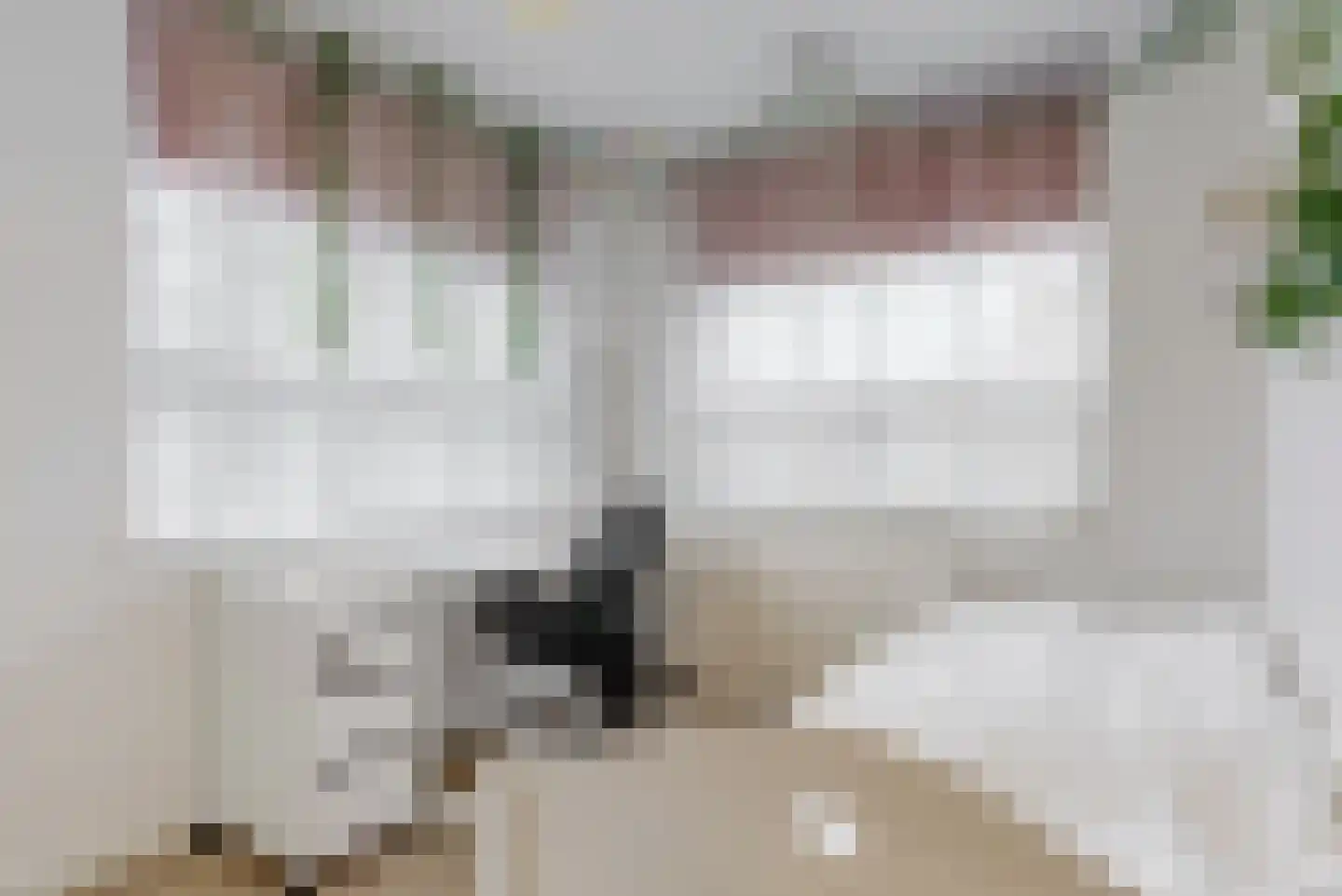 Stuurboordstraat 21 Kudelstaart thumbnail 13