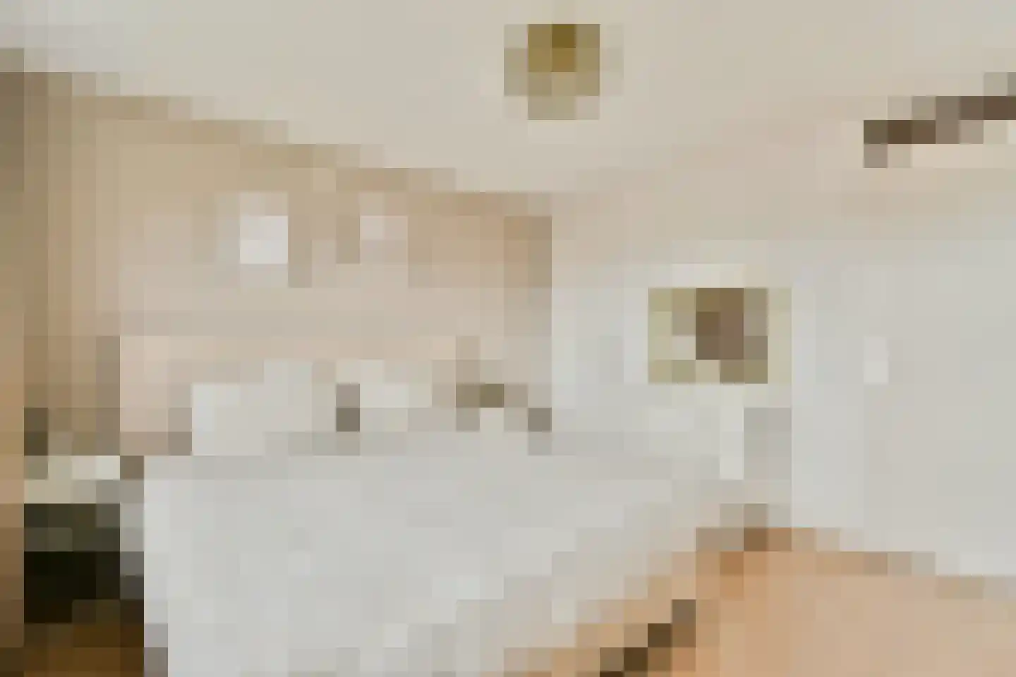 Stuurboordstraat 30 Kudelstaart thumbnail 16