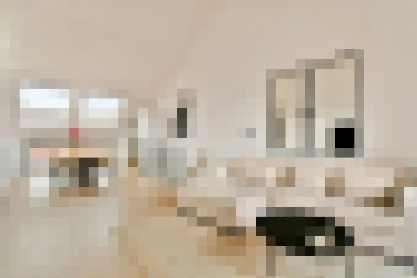 Stuurboordstraat 30 Kudelstaart thumbnail 7