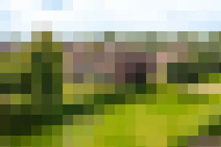 Stuurhuis 19 Delfzijl thumbnail 10