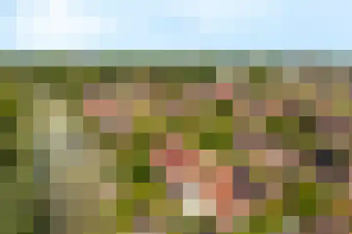 Stuurhuis 19 Delfzijl thumbnail 11