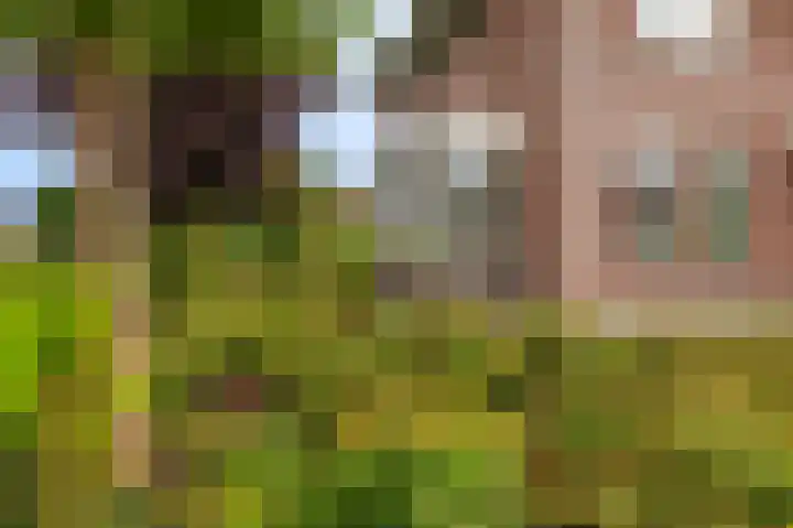 Stuurhuis 19 Delfzijl thumbnail 15