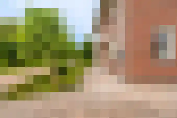 Stuurhuis 19 Delfzijl thumbnail 17