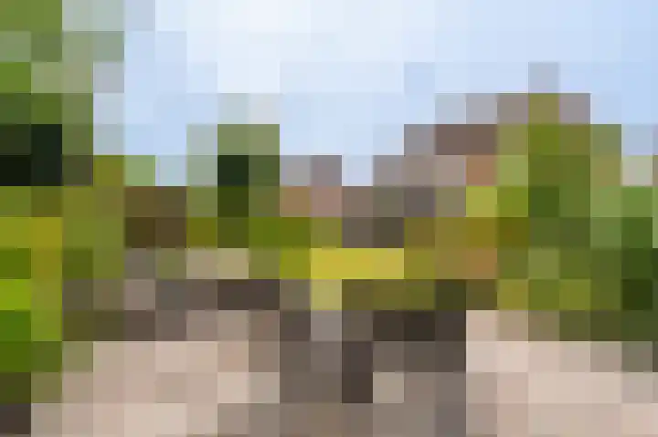 Stuurhuis 19 Delfzijl thumbnail 19