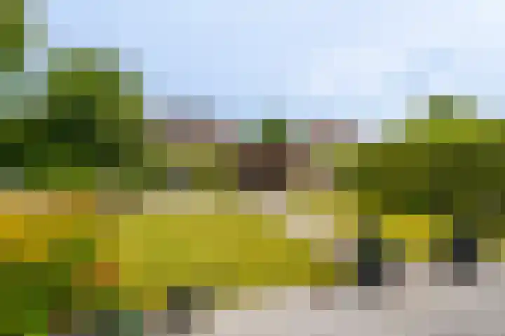 Stuurhuis 19 Delfzijl thumbnail 20