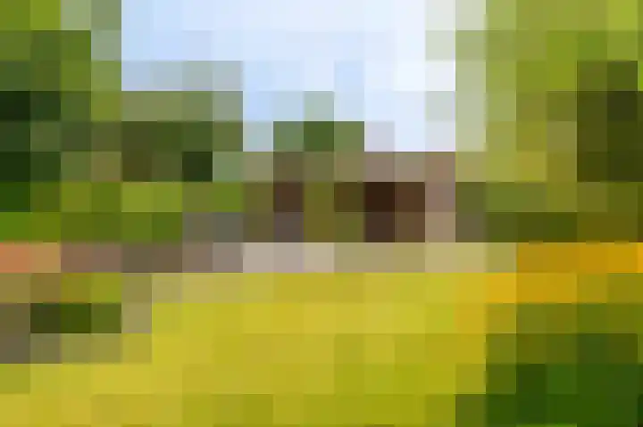 Stuurhuis 19 Delfzijl thumbnail 21