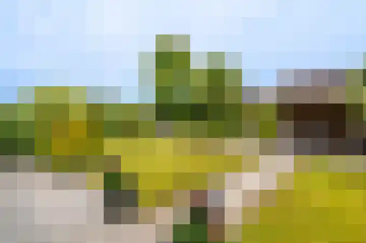 Stuurhuis 19 Delfzijl thumbnail 22