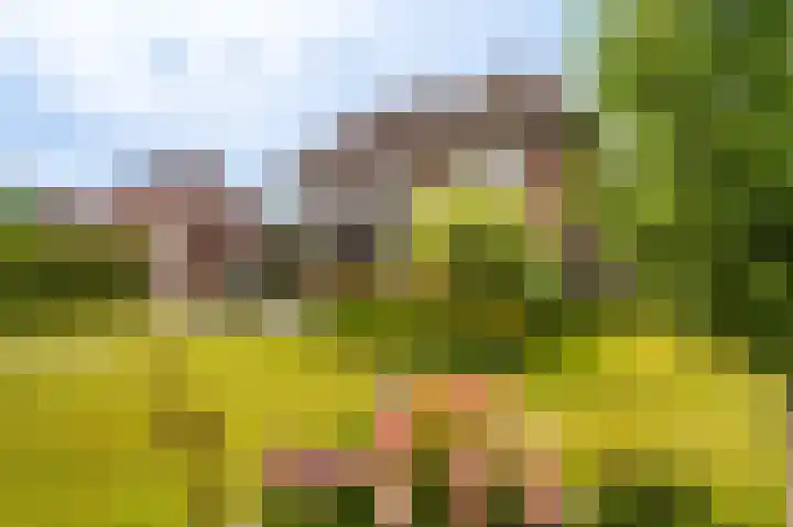 Stuurhuis 19 Delfzijl thumbnail 25