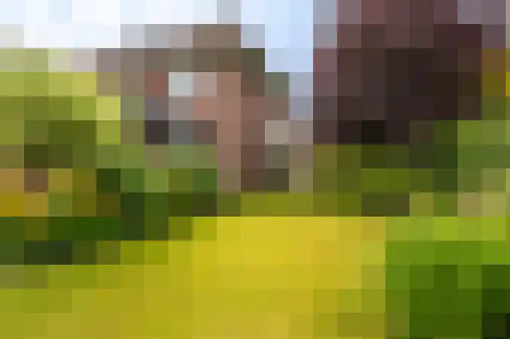 Stuurhuis 19 Delfzijl thumbnail 31