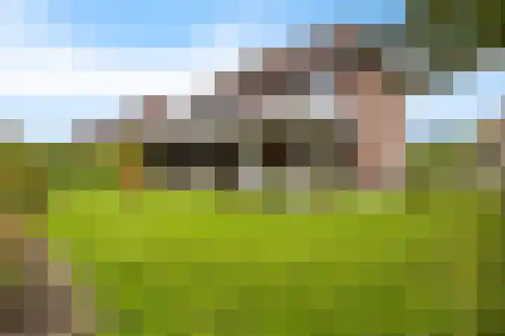 Stuurhuis 5 Delfzijl thumbnail 13