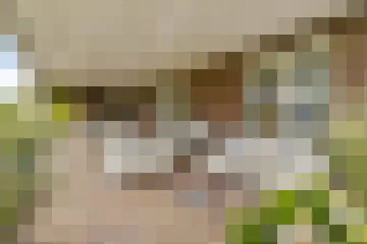 Stuurhuis 5 Delfzijl thumbnail 16