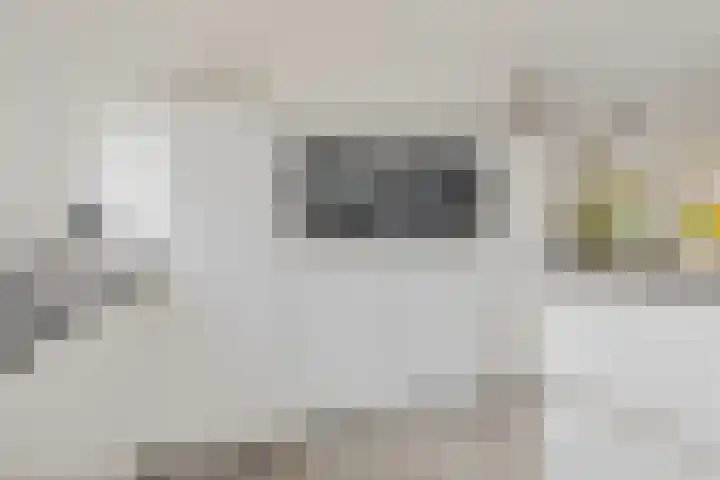Stuurhuis 5 Delfzijl thumbnail 33