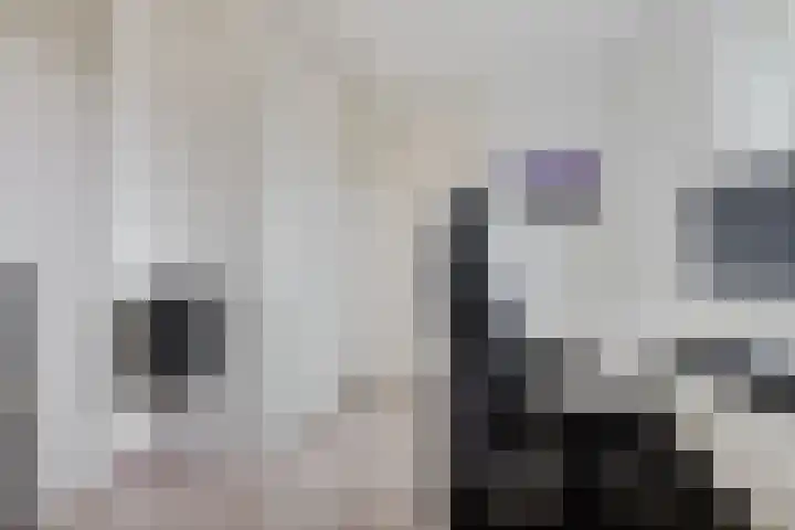 Stuurhuis 5 Delfzijl thumbnail 41