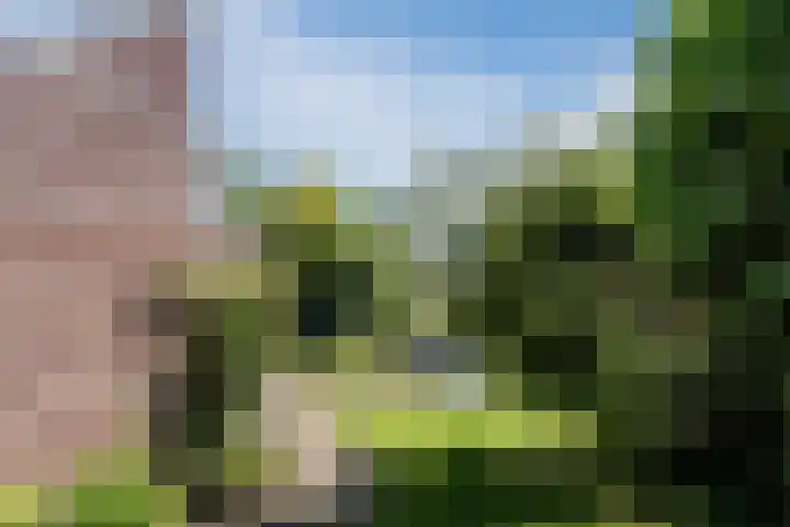 Stuurhut 10 Stadskanaal thumbnail 33