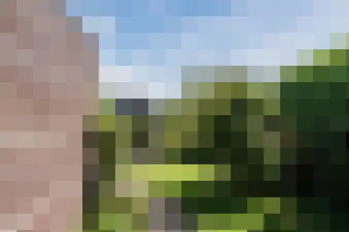 Stuurhut 10 Stadskanaal thumbnail 34