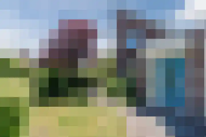 Stuurhut 10 Stadskanaal thumbnail 5