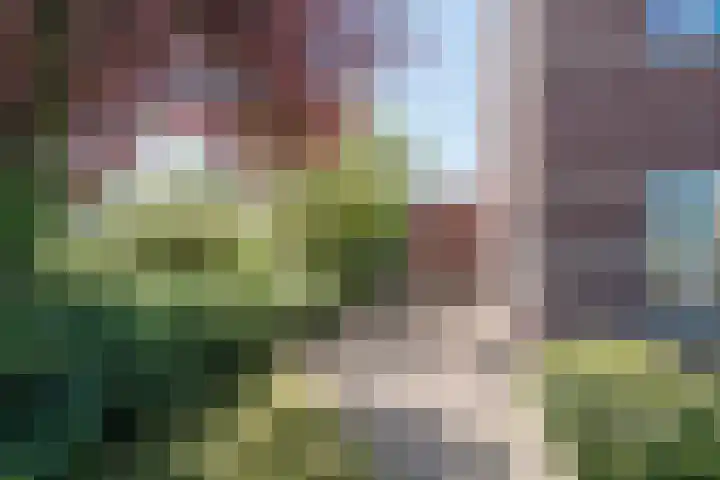 Stuurhut 10 Stadskanaal thumbnail 7