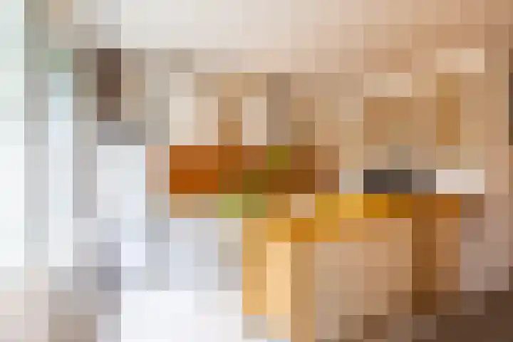Stuurhut 15 Groningen thumbnail 12