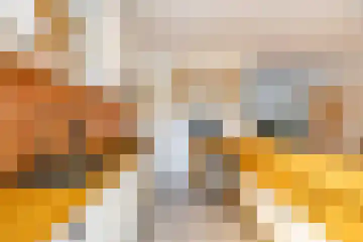 Stuurhut 15 Groningen thumbnail 14
