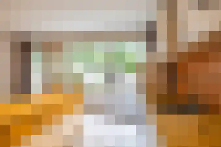 Stuurhut 15 Groningen thumbnail 15