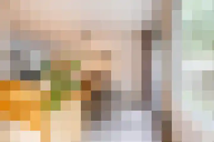 Stuurhut 15 Groningen thumbnail 16