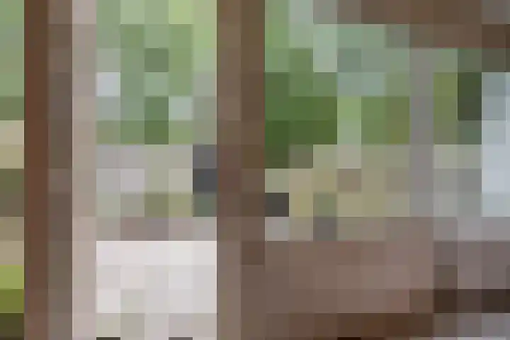 Stuurhut 15 Groningen thumbnail 17
