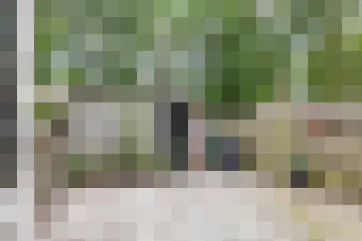 Stuurhut 15 Groningen thumbnail 18