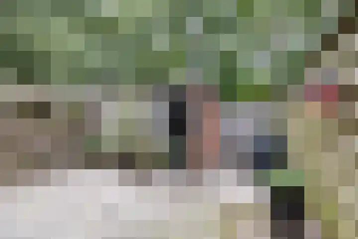 Stuurhut 15 Groningen thumbnail 19
