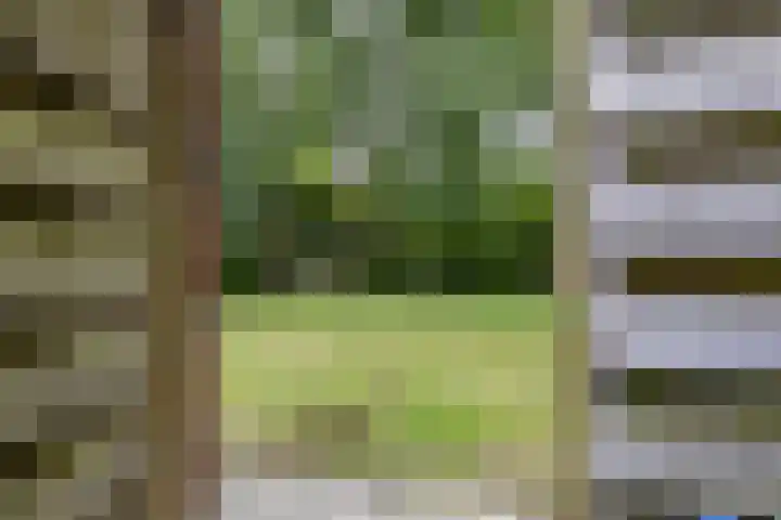 Stuurhut 15 Groningen thumbnail 20