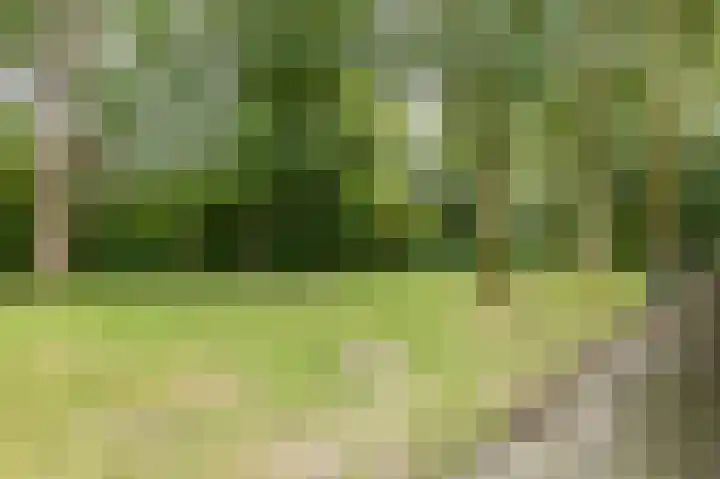 Stuurhut 15 Groningen thumbnail 21