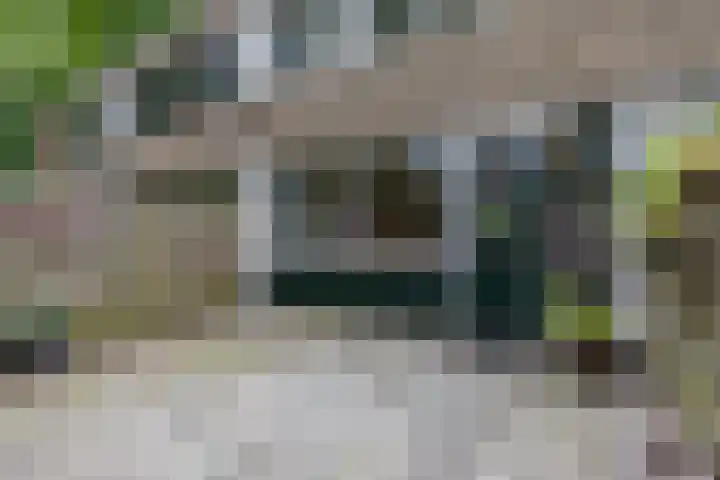 Stuurhut 15 Groningen thumbnail 23