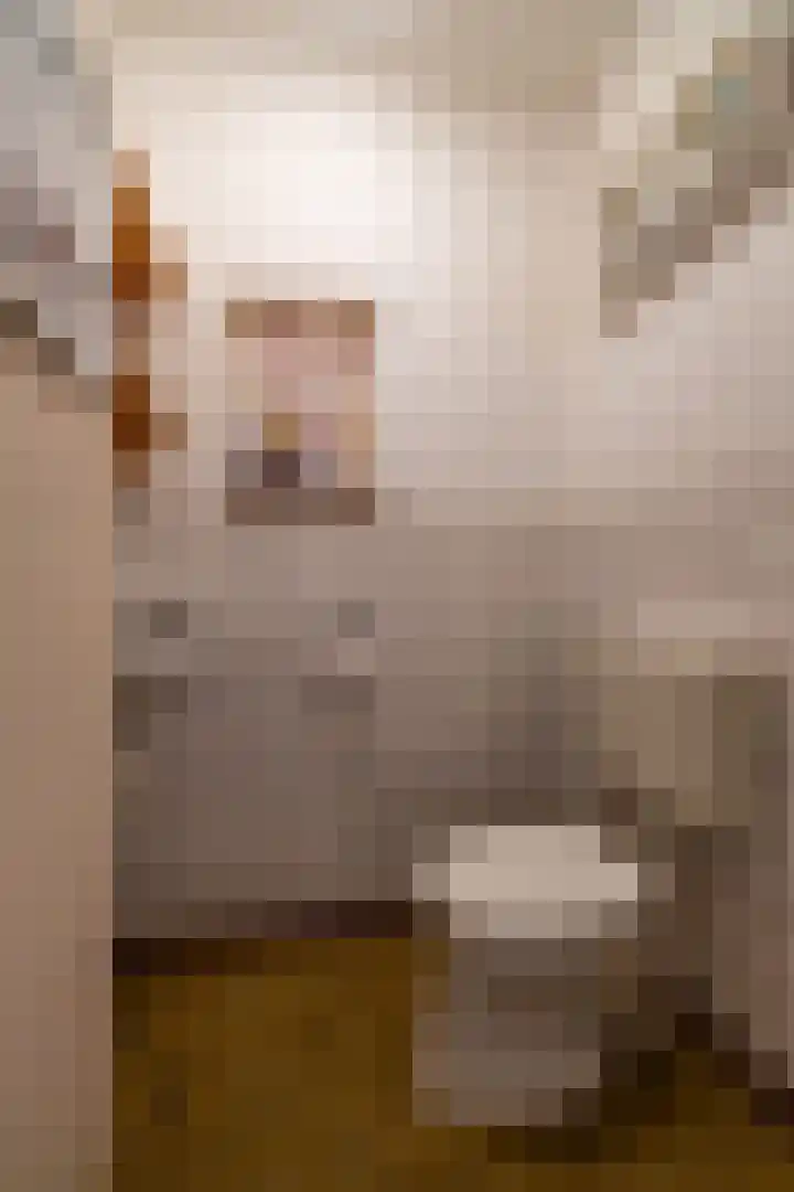 Stuurhut 15 Groningen thumbnail 25