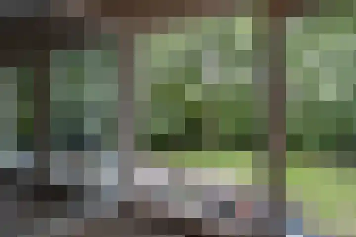 Stuurhut 15 Groningen thumbnail 30
