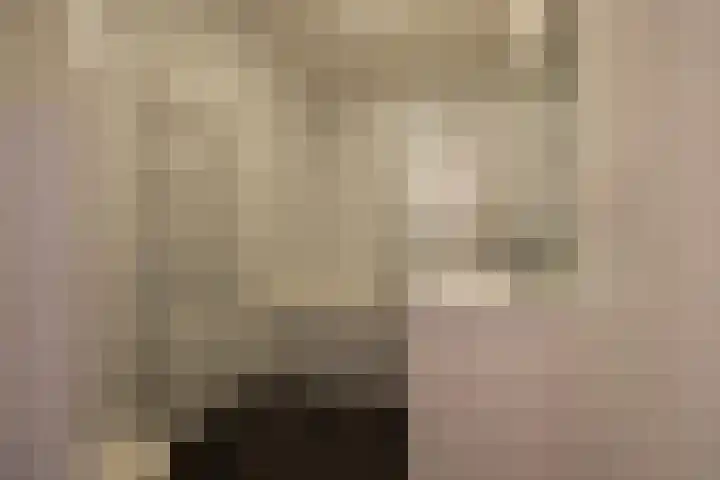 Stuurhut 15 Groningen thumbnail 34