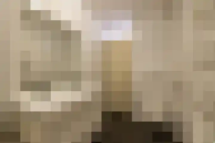 Stuurhut 15 Groningen thumbnail 35